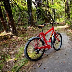 Carbon Forks vs. Aluminum Forks